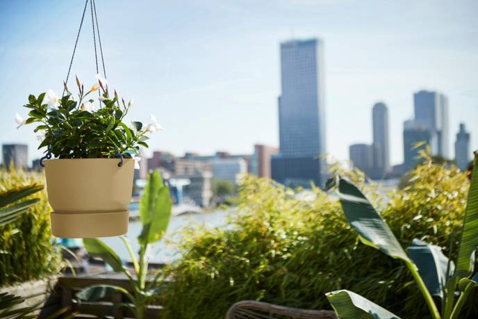 greenville hanging basket 24cm goudkleurig zand